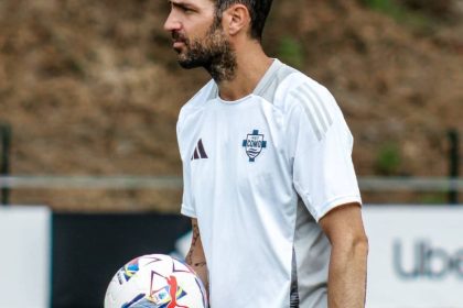 Fabregas sur la blessure de Diao